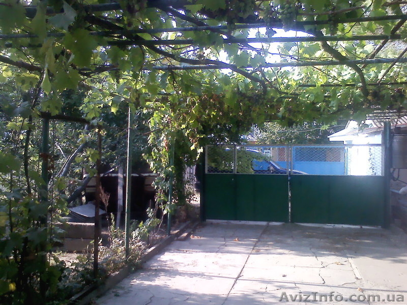 Отдых на Азовском море, с.Генгорка, рядом Дельфинарий, от 35 грн. - <ro>Изображение</ro><ru>Изображение</ru> #4, <ru>Объявление</ru> #1128846