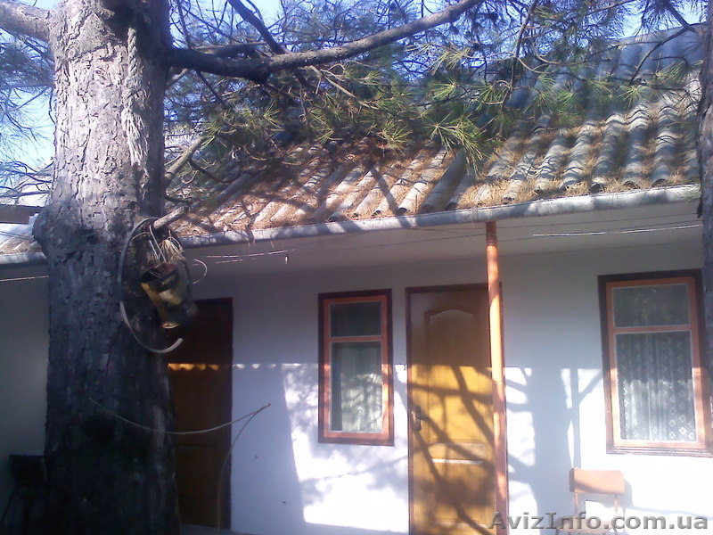 Отдых на Азовском море, с.Генгорка, рядом Дельфинарий, от 35 грн. - <ro>Изображение</ro><ru>Изображение</ru> #3, <ru>Объявление</ru> #1128846