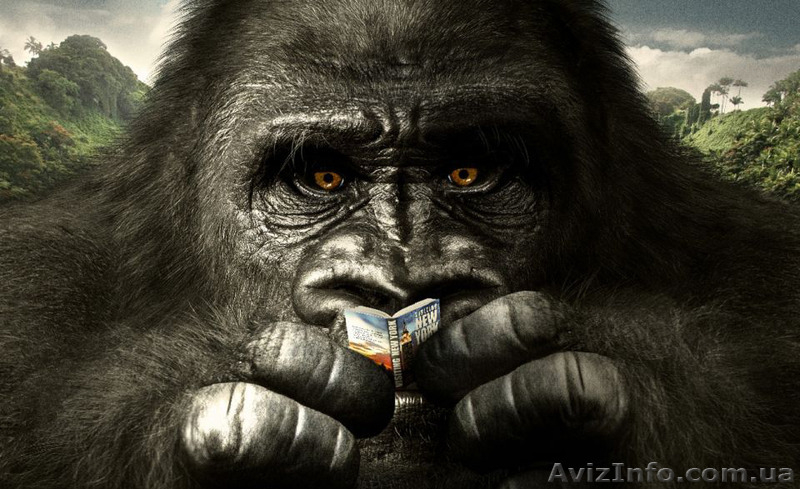 Реклама Кривой Рог - <ro>Изображение</ro><ru>Изображение</ru> #4, <ru>Объявление</ru> #1150472