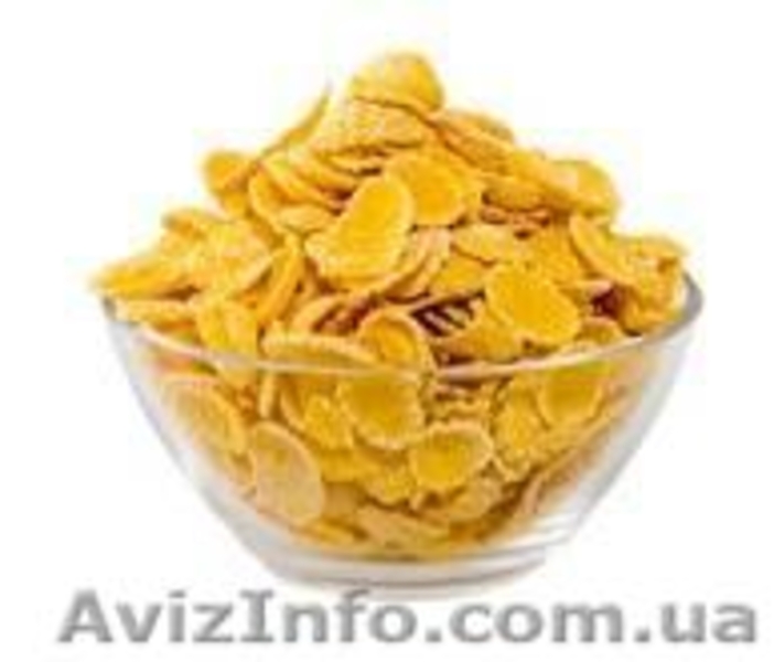 Линия для производства кукурузных хлопьев - <ro>Изображение</ro><ru>Изображение</ru> #7, <ru>Объявление</ru> #1150560