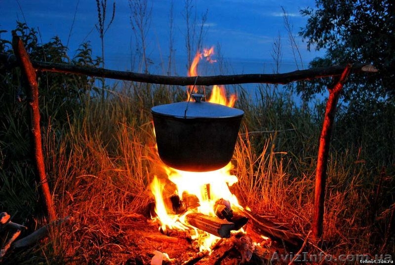 Экологический отдых на базе отдыха Орельский Двор. - <ro>Изображение</ro><ru>Изображение</ru> #10, <ru>Объявление</ru> #1182104