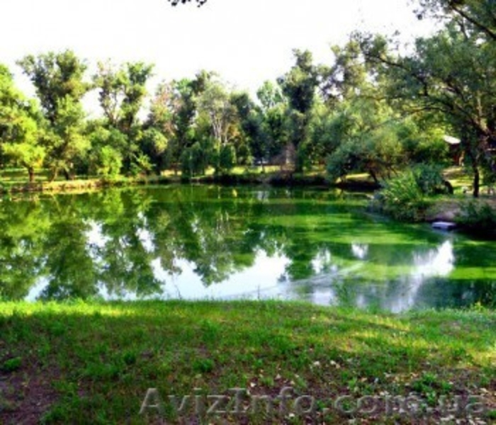 Живописные пейзажи для Вашей фотосессии. - <ro>Изображение</ro><ru>Изображение</ru> #3, <ru>Объявление</ru> #1182192