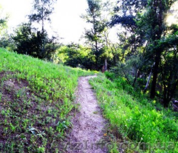 Живописные пейзажи для Вашей фотосессии. - <ro>Изображение</ro><ru>Изображение</ru> #5, <ru>Объявление</ru> #1182192