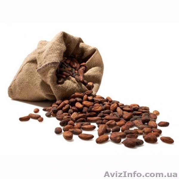 ВЫСОКОКАЧЕСТВЕННЫЕ КРУПНОКАЛИБЕРНЫЕ СЫРЫЕ КАКАО-БОБЫ - <ro>Изображение</ro><ru>Изображение</ru> #3, <ru>Объявление</ru> #1176280