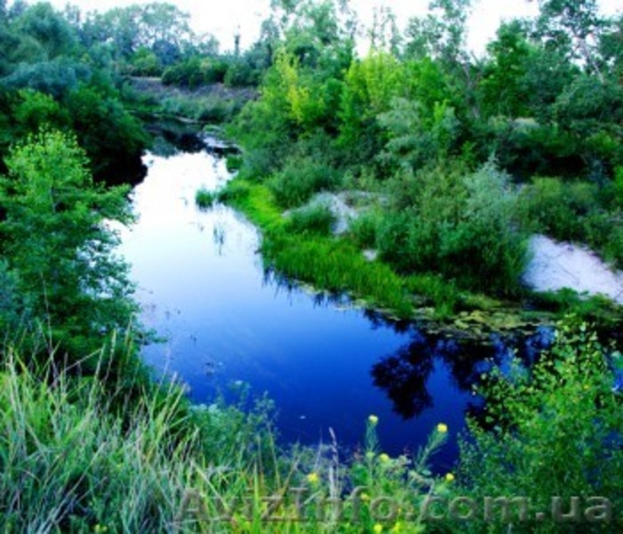 Живописные пейзажи для Вашей фотосессии. - <ro>Изображение</ro><ru>Изображение</ru> #8, <ru>Объявление</ru> #1182192