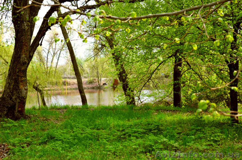 Экологический отдых на базе отдыха Орельский Двор. - <ro>Изображение</ro><ru>Изображение</ru> #4, <ru>Объявление</ru> #1182104