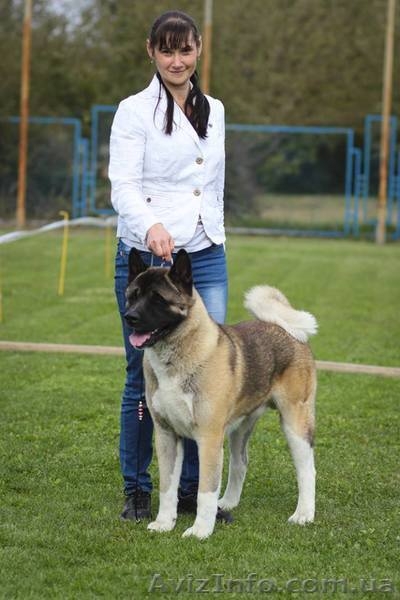 Приглашение на вязку - <ro>Изображение</ro><ru>Изображение</ru> #3, <ru>Объявление</ru> #1189580