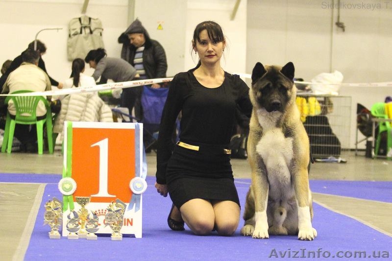 Приглашение на вязку - <ro>Изображение</ro><ru>Изображение</ru> #4, <ru>Объявление</ru> #1189580