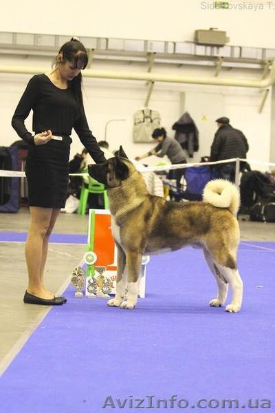 Приглашение на вязку - <ro>Изображение</ro><ru>Изображение</ru> #5, <ru>Объявление</ru> #1189580