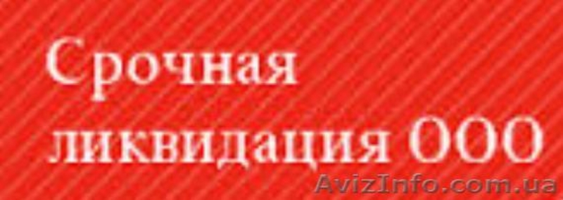 Альтернативная ликвидация предприятия с проблемами за 1 день Кривой Ро - <ro>Изображение</ro><ru>Изображение</ru> #8, <ru>Объявление</ru> #1208337