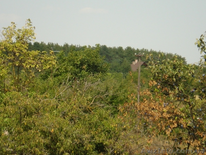 Продам Земельный  участок п. Кировское - <ro>Изображение</ro><ru>Изображение</ru> #4, <ru>Объявление</ru> #1205645