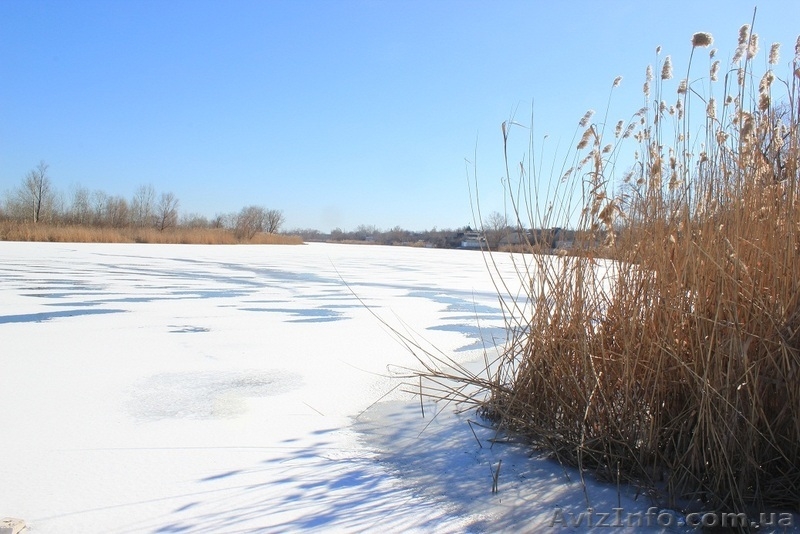 Продам домик, срочно!!! - <ro>Изображение</ro><ru>Изображение</ru> #7, <ru>Объявление</ru> #1229434