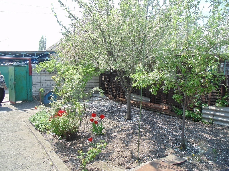 Сдам частный дом с усадьбой в тихом и спокойном месте - <ro>Изображение</ro><ru>Изображение</ru> #4, <ru>Объявление</ru> #1259320