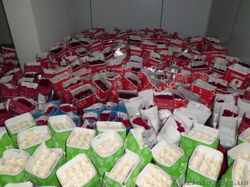 Цветы из Эквадора,купить розу недорого - <ro>Изображение</ro><ru>Изображение</ru> #3, <ru>Объявление</ru> #1259981