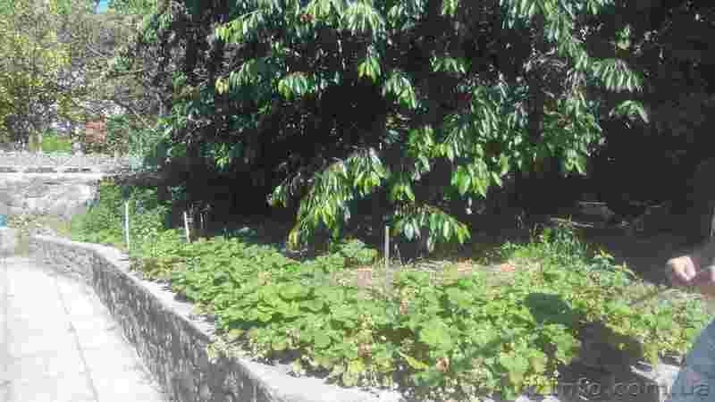 Продам добротный 2-этажный дом в р-не ул. Савченко - <ro>Изображение</ro><ru>Изображение</ru> #8, <ru>Объявление</ru> #1273182