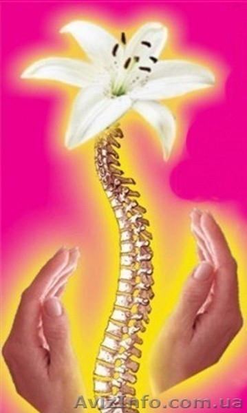 Биоэнергетика. Восстановление здоровья. Лечение позвоночника. - <ro>Изображение</ro><ru>Изображение</ru> #3, <ru>Объявление</ru> #1276702