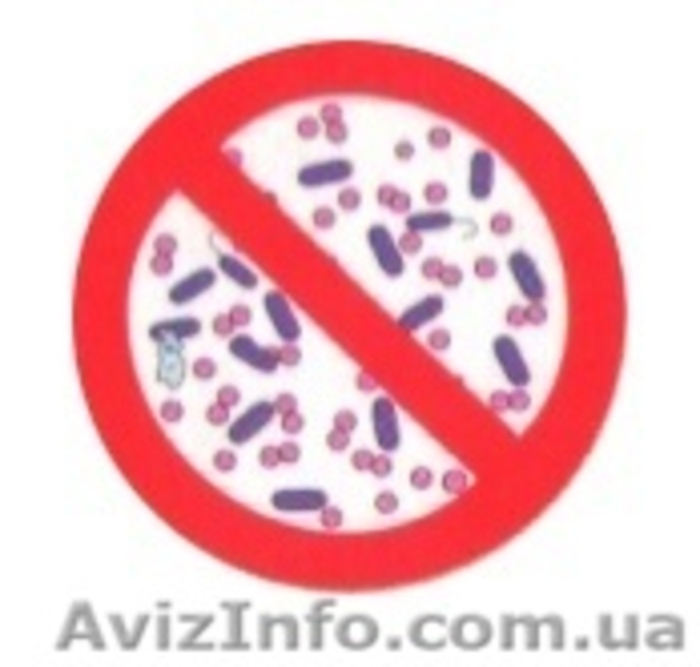 Уничтожение Насекомых, тараканов, Клопов, крыс, мышь, клещей - <ro>Изображение</ro><ru>Изображение</ru> #3, <ru>Объявление</ru> #1275798