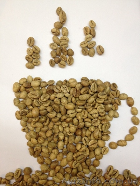 Зеленый кофе Робуста Вьетнам 1 сорт - <ro>Изображение</ro><ru>Изображение</ru> #3, <ru>Объявление</ru> #1276893