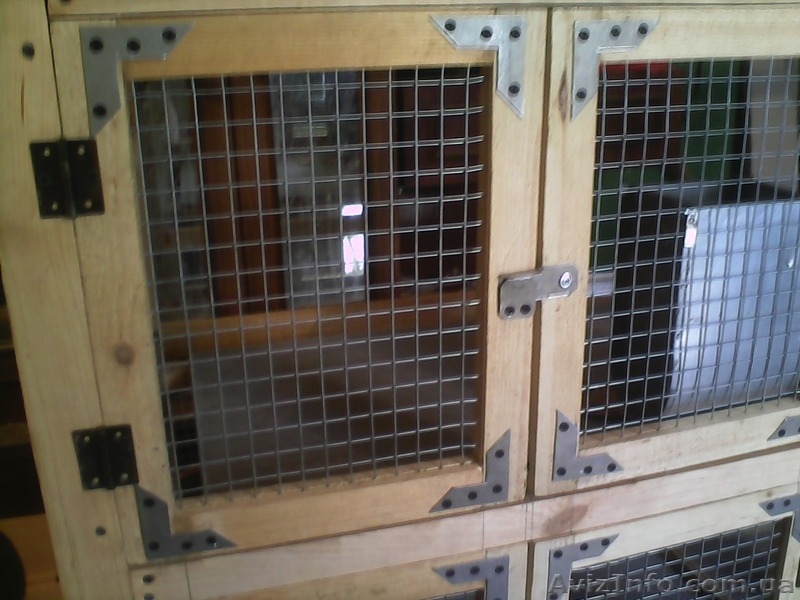 Клетки для кроликов из дерева - <ro>Изображение</ro><ru>Изображение</ru> #6, <ru>Объявление</ru> #1213899