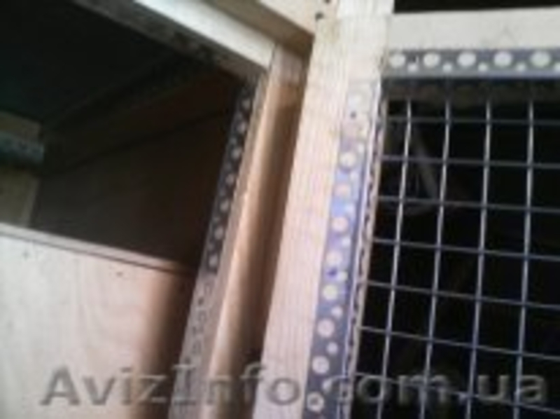 Клетки для кроликов из дерева - <ro>Изображение</ro><ru>Изображение</ru> #9, <ru>Объявление</ru> #1213899