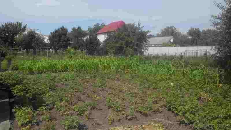 Продам аккуратный домик на Ксеньевке - <ro>Изображение</ro><ru>Изображение</ru> #4, <ru>Объявление</ru> #1286346