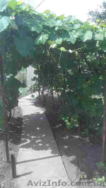 Продам аккуратный домик на Ксеньевке - <ro>Изображение</ro><ru>Изображение</ru> #6, <ru>Объявление</ru> #1286346