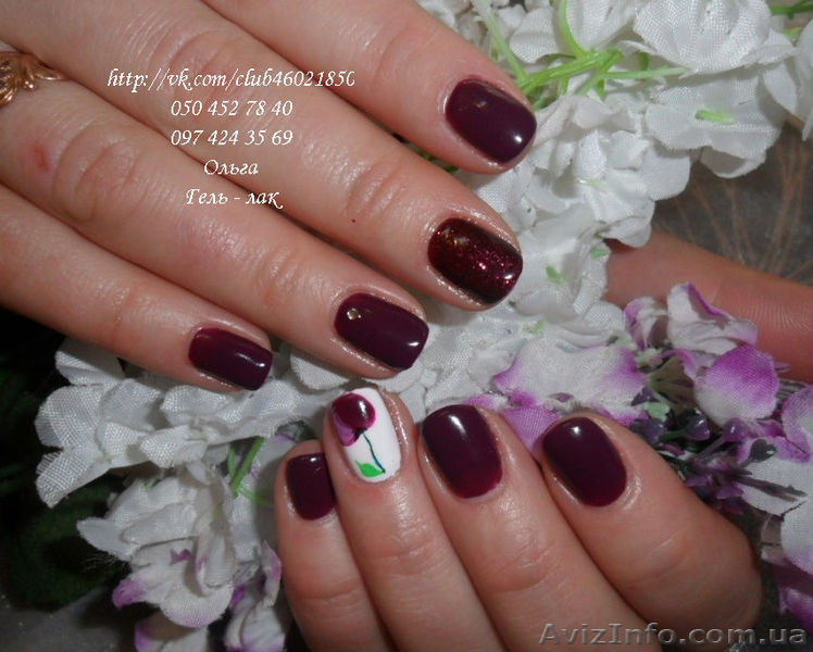  Предлагаю маникюр, укрепление биогелем, наращивание ногтей акрилом. - <ro>Изображение</ro><ru>Изображение</ru> #4, <ru>Объявление</ru> #1047854