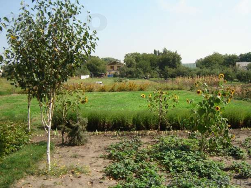 Благоустроенный Дом Новоалександровка - <ro>Изображение</ro><ru>Изображение</ru> #8, <ru>Объявление</ru> #1325227