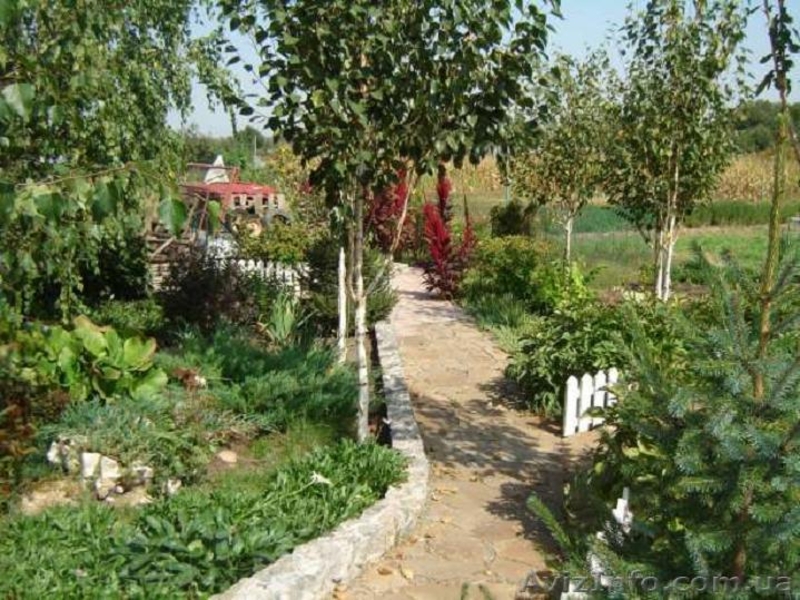 Благоустроенный Дом Новоалександровка - <ro>Изображение</ro><ru>Изображение</ru> #7, <ru>Объявление</ru> #1325227