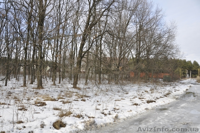 Участки в хвойном и дубовом лесу в Орловщине Новомосковского района - <ro>Изображение</ro><ru>Изображение</ru> #3, <ru>Объявление</ru> #1373372