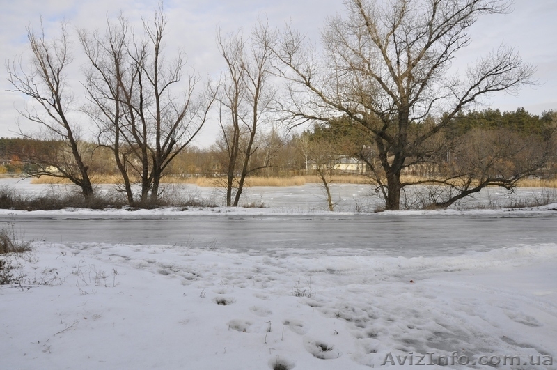 Участки в хвойном и дубовом лесу в Орловщине Новомосковского района - <ro>Изображение</ro><ru>Изображение</ru> #4, <ru>Объявление</ru> #1373372