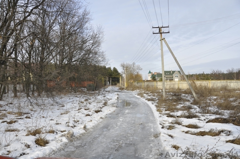Участки в хвойном и дубовом лесу в Орловщине Новомосковского района - <ro>Изображение</ro><ru>Изображение</ru> #6, <ru>Объявление</ru> #1373372