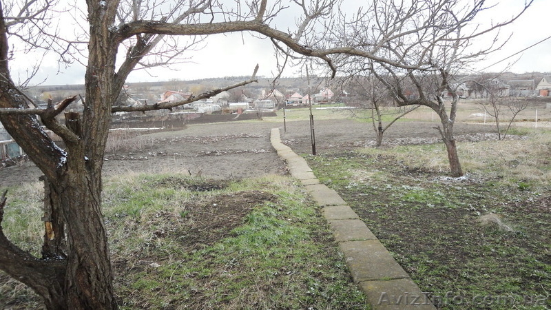 Продам дом с участком в центре с. Новоалександровка. - <ro>Изображение</ro><ru>Изображение</ru> #3, <ru>Объявление</ru> #1395864