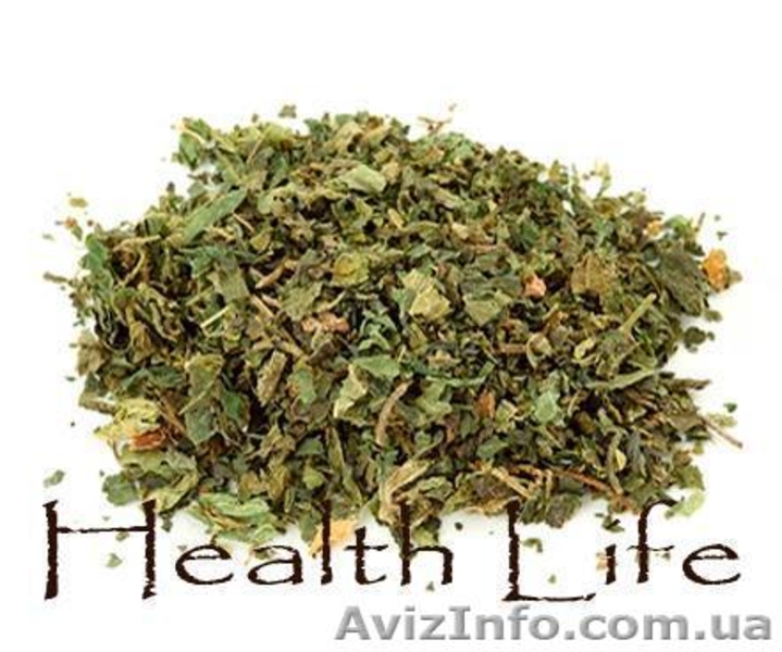 Лекарственные травы(чаи) оптом и на развес - <ro>Изображение</ro><ru>Изображение</ru> #6, <ru>Объявление</ru> #1413378