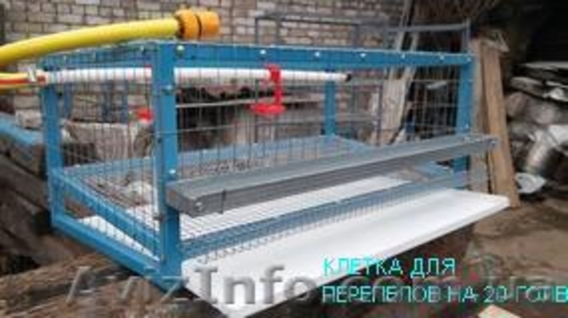 Продам клетку для перепелов - <ro>Изображение</ro><ru>Изображение</ru> #3, <ru>Объявление</ru> #1441745