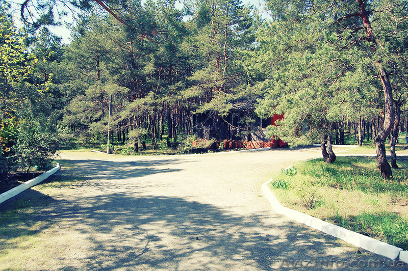 База сімейного відпочинку "Поштовик" - <ro>Изображение</ro><ru>Изображение</ru> #3, <ru>Объявление</ru> #1435606