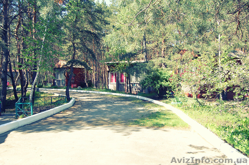 База сімейного відпочинку "Поштовик" - <ro>Изображение</ro><ru>Изображение</ru> #5, <ru>Объявление</ru> #1435606