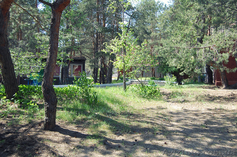 База сімейного відпочинку "Поштовик" - <ro>Изображение</ro><ru>Изображение</ru> #6, <ru>Объявление</ru> #1435606