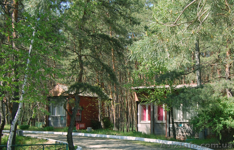 База сімейного відпочинку "Поштовик" - <ro>Изображение</ro><ru>Изображение</ru> #7, <ru>Объявление</ru> #1435606