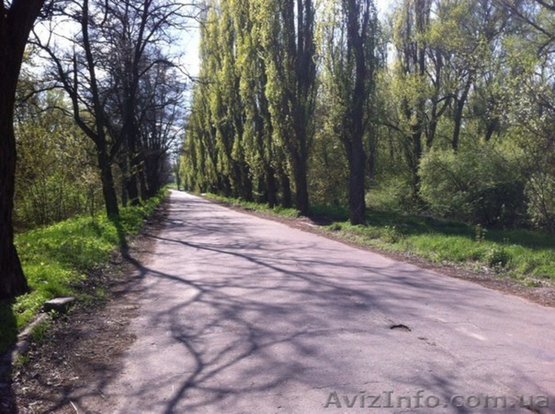 Просторный Дом на берегу Днепра - <ro>Изображение</ro><ru>Изображение</ru> #3, <ru>Объявление</ru> #1447212