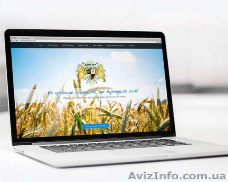 Сайт недорого - за 40$, адаптивно и качествено, стартуем без предоплат - <ro>Изображение</ro><ru>Изображение</ru> #4, <ru>Объявление</ru> #1460128