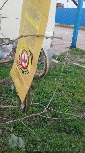 Уничтожение                                                                      - <ro>Изображение</ro><ru>Изображение</ru> #4, <ru>Объявление</ru> #1470528