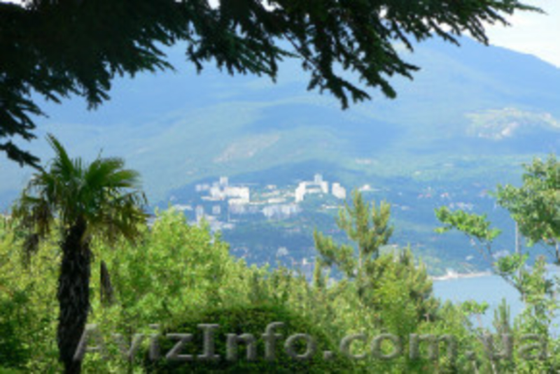 Портал Международных фестивалей Золотая Мечта - <ro>Изображение</ro><ru>Изображение</ru> #4, <ru>Объявление</ru> #1466914