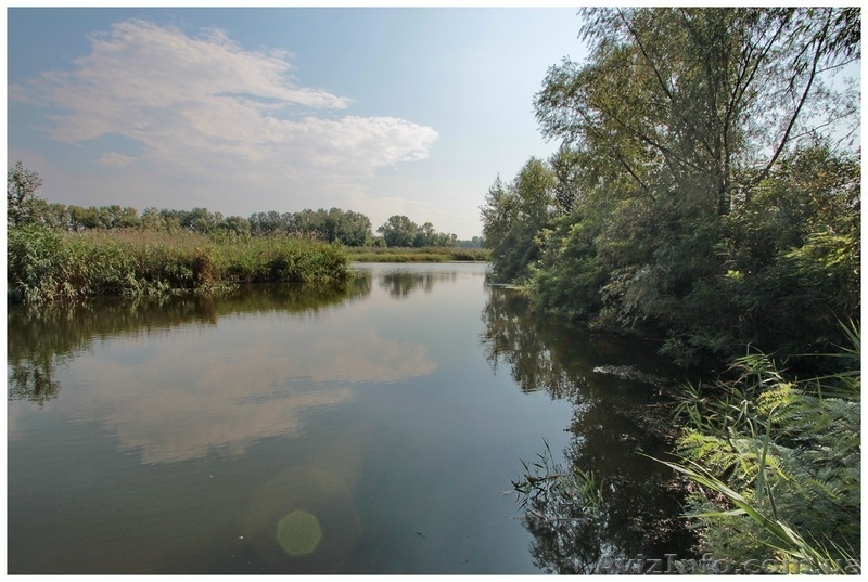 продам элитный участок в Кировском со своим берегом - <ro>Изображение</ro><ru>Изображение</ru> #3, <ru>Объявление</ru> #1483864