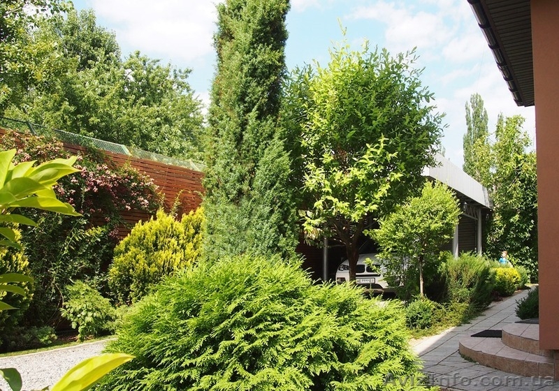 Ландшафтный дизайн и благоустройство под ключ - <ro>Изображение</ro><ru>Изображение</ru> #6, <ru>Объявление</ru> #1484438