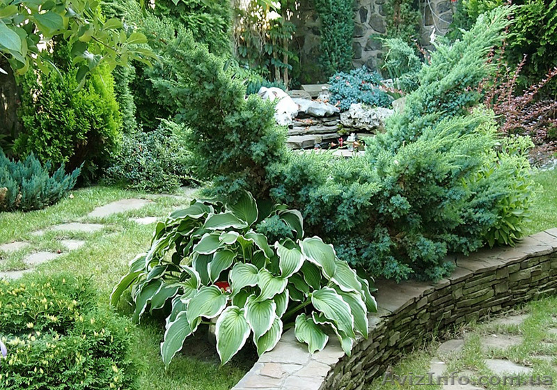 Ландшафтный дизайн и благоустройство под ключ - <ro>Изображение</ro><ru>Изображение</ru> #5, <ru>Объявление</ru> #1484438