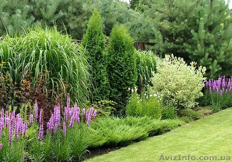 Ландшафтный дизайн и благоустройство под ключ - <ro>Изображение</ro><ru>Изображение</ru> #7, <ru>Объявление</ru> #1484438