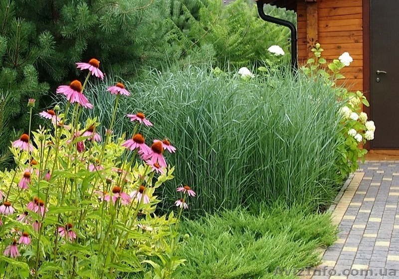 Ландшафтный дизайн и благоустройство под ключ - <ro>Изображение</ro><ru>Изображение</ru> #8, <ru>Объявление</ru> #1484438