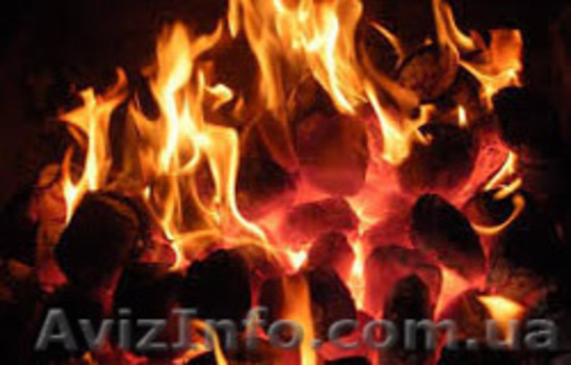 Уголь Антрацит, АКО, Семечко, Орех, Курняк - <ro>Изображение</ro><ru>Изображение</ru> #3, <ru>Объявление</ru> #1508410