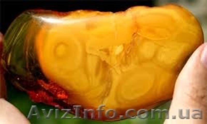 Куплю янтарные бысы , драслет , брошь , продать янтарь . - <ro>Изображение</ro><ru>Изображение</ru> #3, <ru>Объявление</ru> #1519659